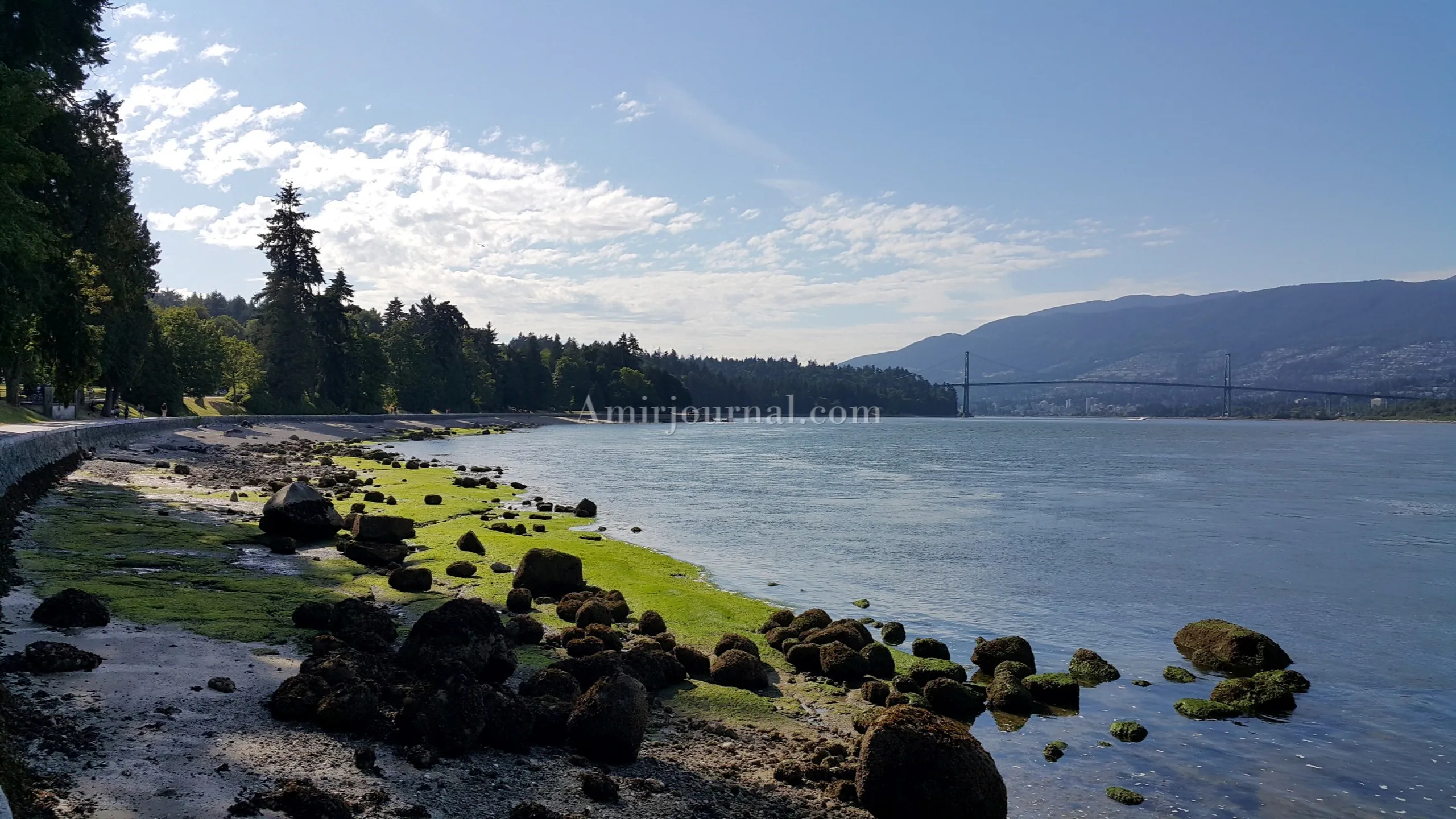 Vancouver: Between Ocean, Forest, and Sky
